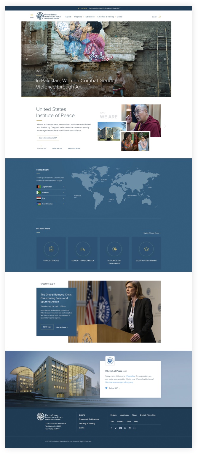Screenshot of the USIP Website
