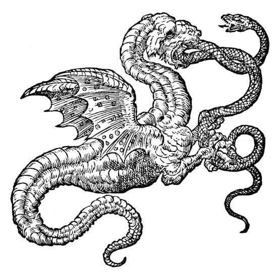 black and white illustration of dragon eating snake