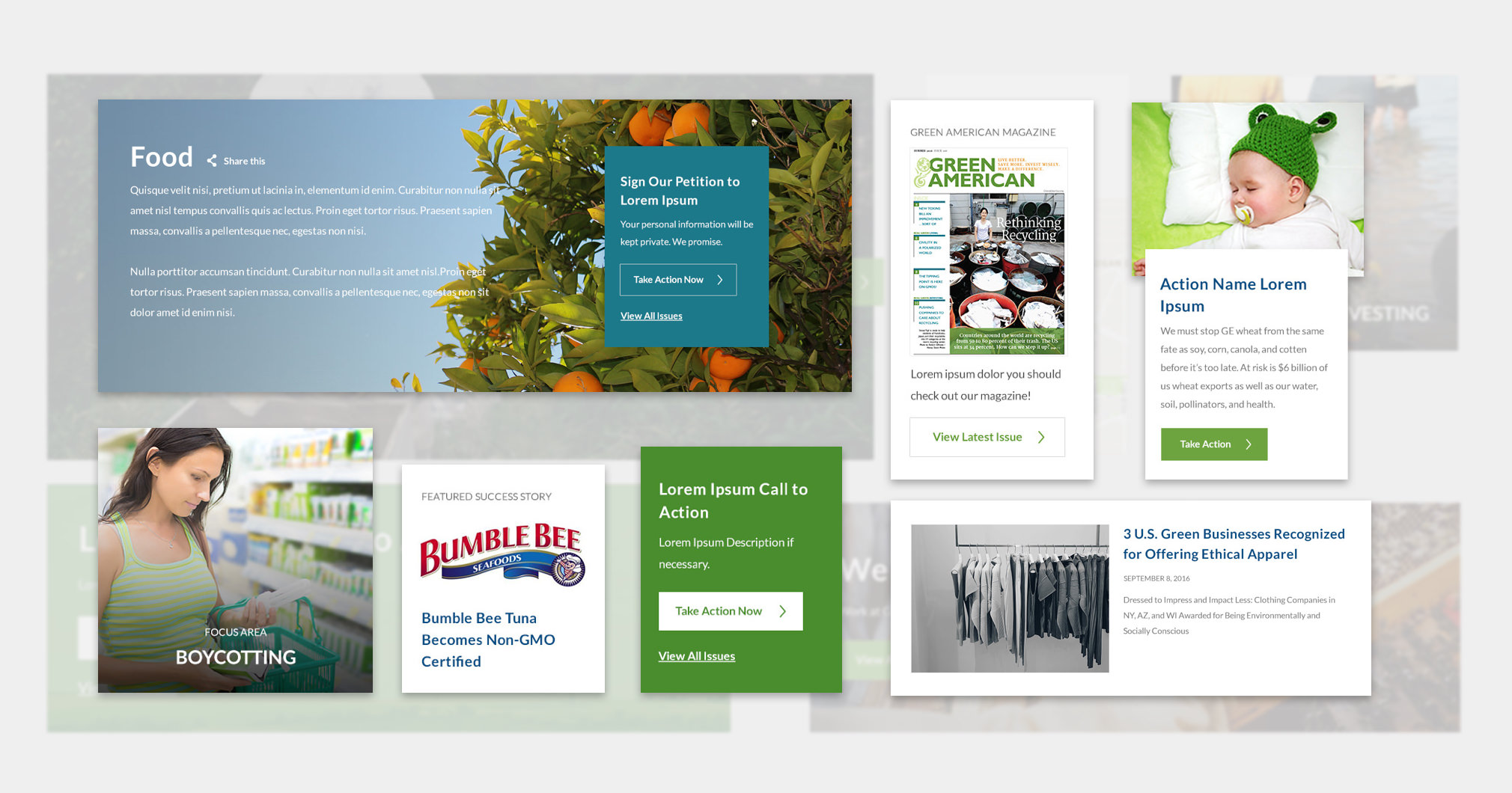 Green America web design details
