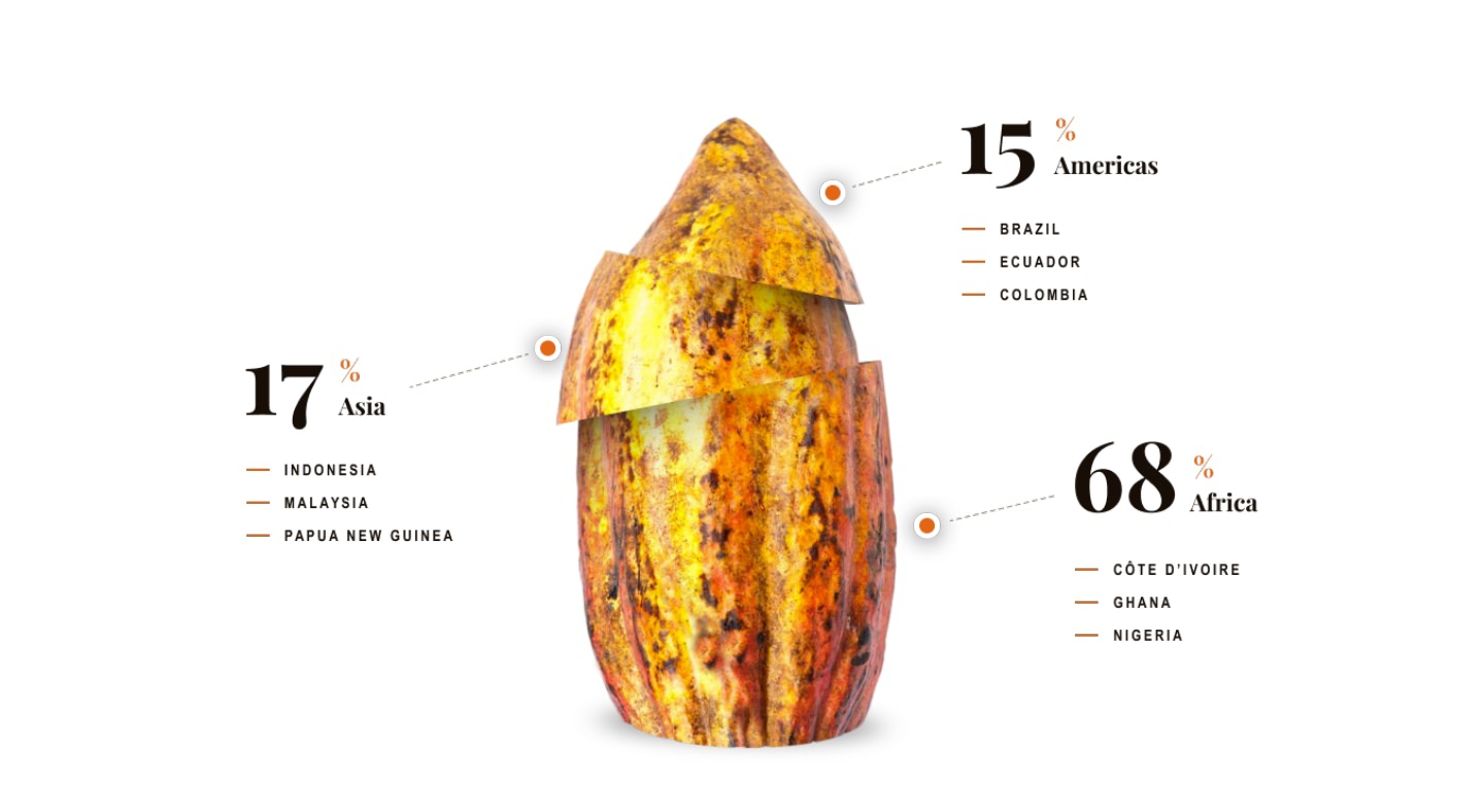 World Cocoa Foundation Statistics Image