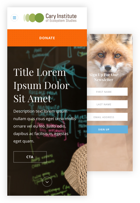 Mobile design comps for Cary's 'Donation' and 'Sign-up' pages -- features photography of a fox in the wild.